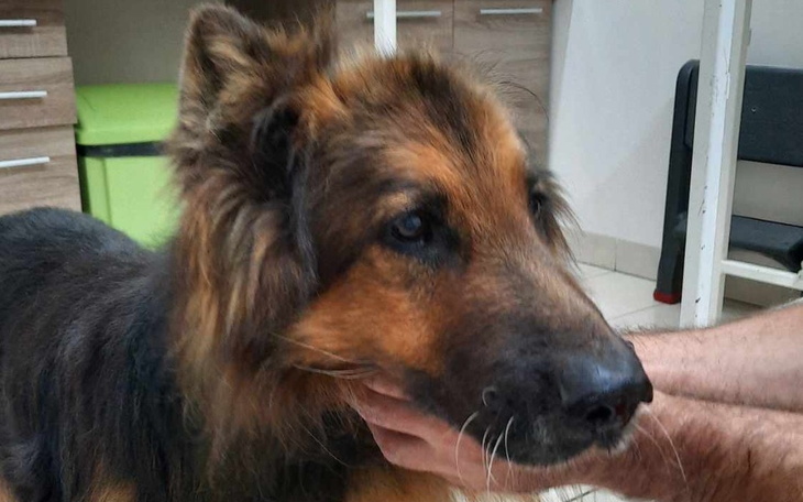 Zbiórka By mógł chodzić bez bólu - zdjęcie główne