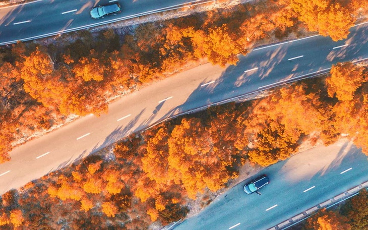 Zbiórka Wypadek Taty - zdjęcie główne