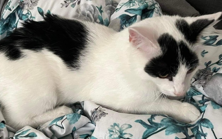 Zbiórka już umiera... a nie zaznał życia - zdjęcie główne