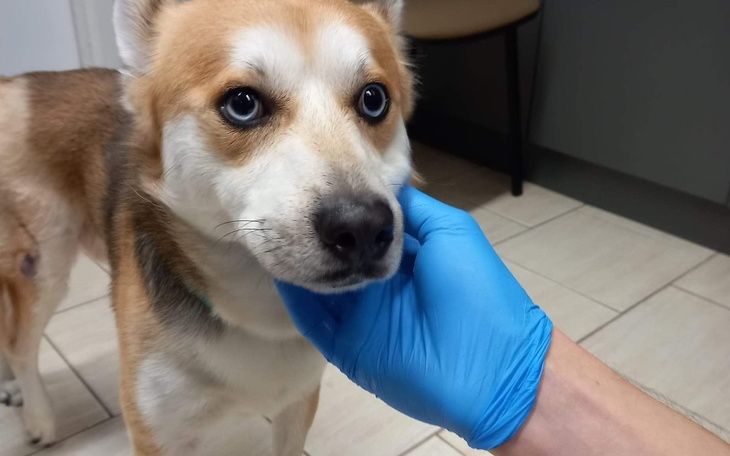 Zbiórka Jedziemy po pomoc. - zdjęcie główne