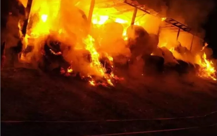 Zbiórka Zbieram na odbudowę wiaty - zdjęcie główne