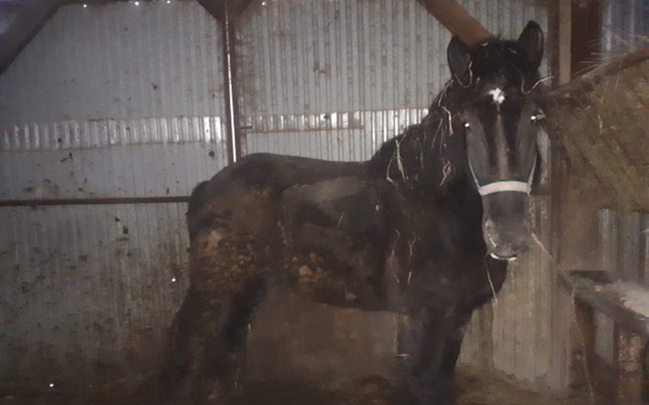 Zbiórka Skazany na śmierć.  Chce żyć... - zdjęcie główne