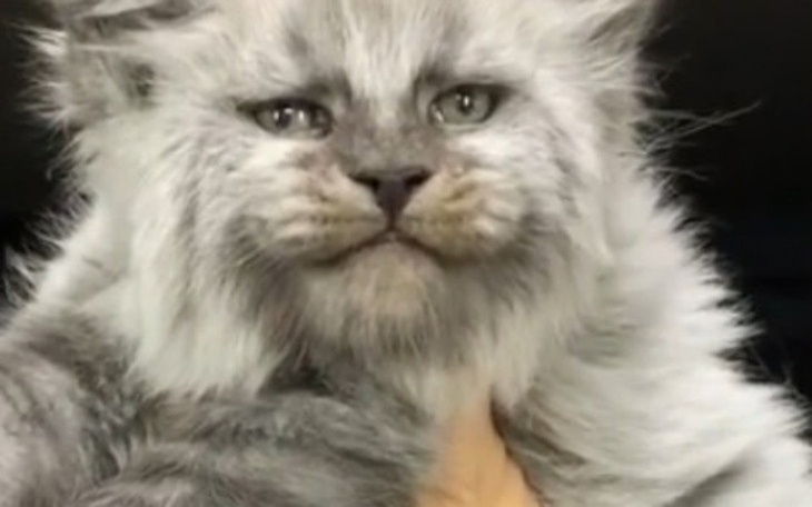 Zbiórka Remont Dla Dzieci 4 - zdjęcie główne