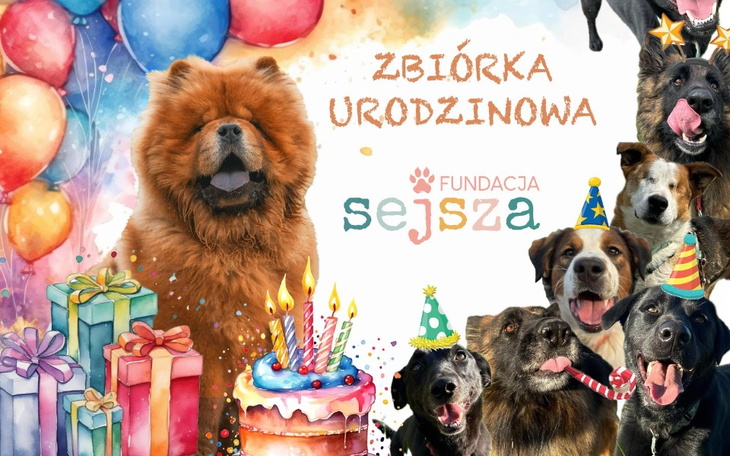 Zbiórka Urodzinowa zrzutka dla fundacji - zdjęcie główne