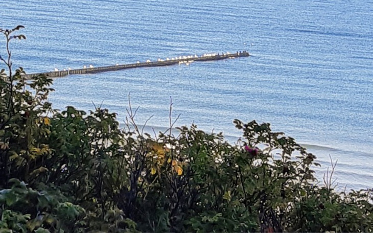 Zbiórka Jestem bezdomny - zdjęcie główne