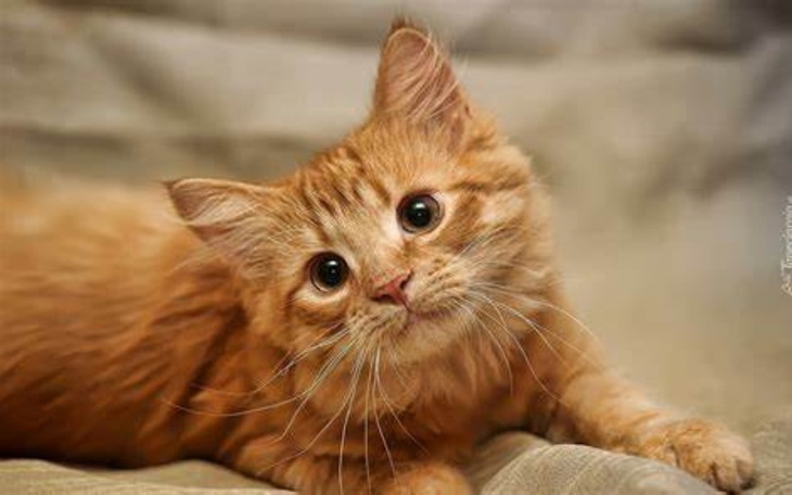 Zbiórka Zbieram na studio muzyczne2 - zdjęcie główne