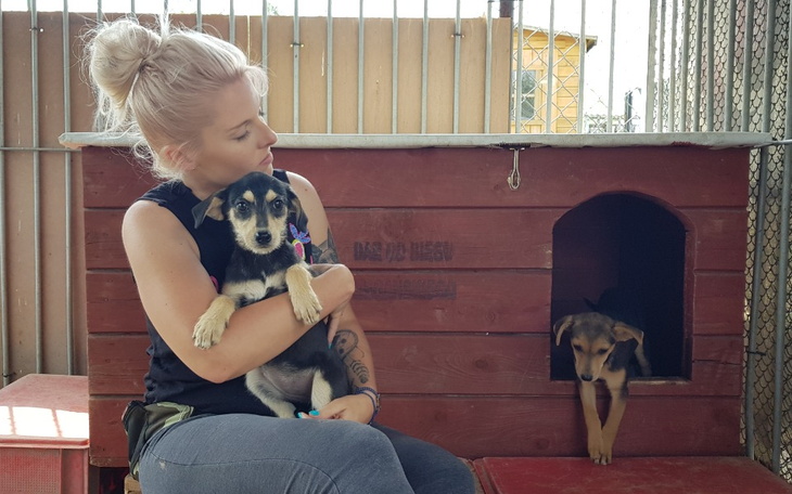 Zbiórka Żeby nie odcięli prądu - zdjęcie główne