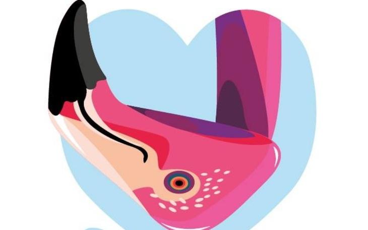 Zbiórka Zbiórka dla Fundacji Gajusz - zdjęcie główne