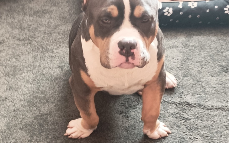 Zbiórka Operacja Kaliego - zdjęcie główne