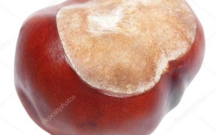 Zbiórka Fundacja KASZTAN - zdjęcie główne