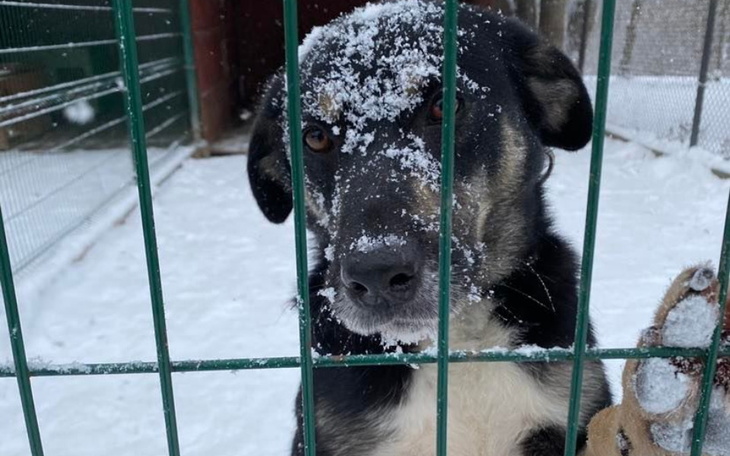 Zbiórka Złotówkobranie na ogrzewanie. - zdjęcie główne