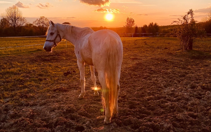 Zbiórka Podaruj nowy lepszy oddech - zdjęcie główne