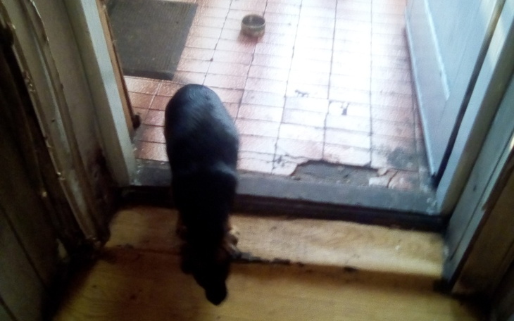 Zbiórka Moja - zdjęcie główne