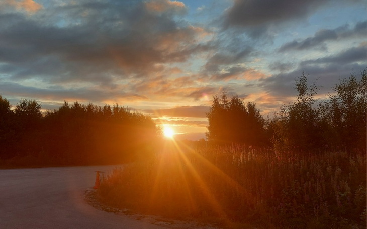 Zbiórka Pomniki - zdjęcie główne