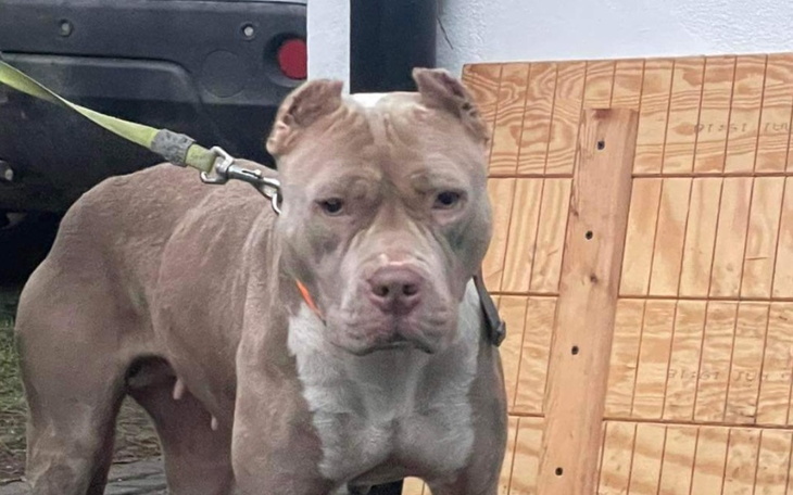 Zbiórka Skarpeta -Karolci - zdjęcie główne