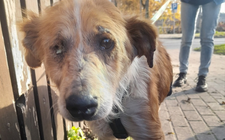 Zbiórka Jednooki Weteran - zdjęcie główne