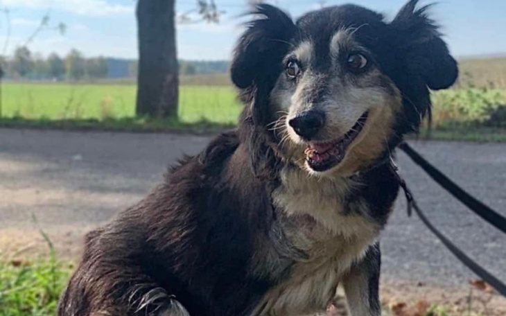 Zniszczony budynek po katastrofie, potrzeba pomocy.