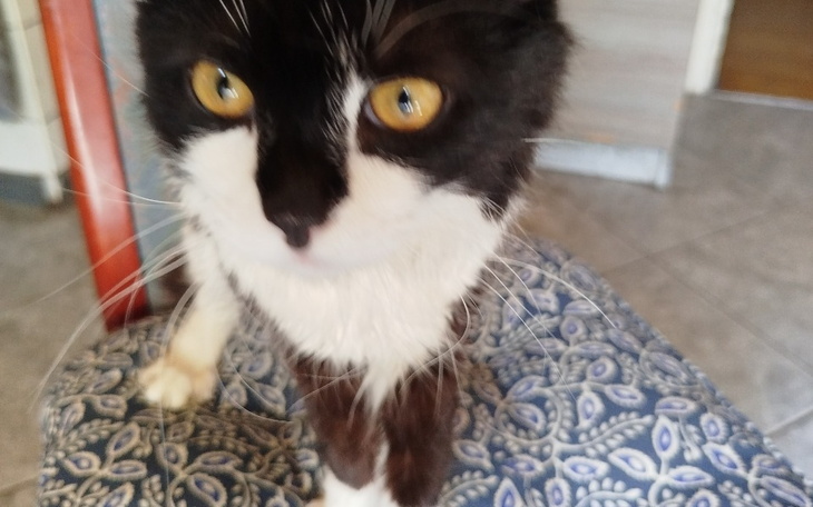 Zbiórka Zbieramy na badania dla Emilka - zdjęcie główne