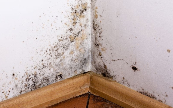 Zbiórka Liczy się każda zlotowka - zdjęcie główne