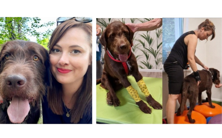 Zdjęcie psa z opiekunem oraz rehabilitacja psa.