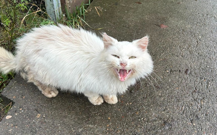 Zbiórka to człowiek nas zniszczył - zdjęcie główne