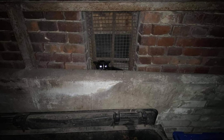 Zbiórka Gdy zabraknie - zdjęcie główne