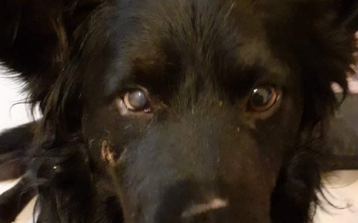 Zbiórka WYWALONY jak śmieć z auta - zdjęcie główne