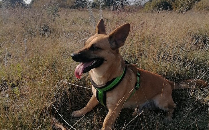 Zbiórka Na operacje Nero - zdjęcie główne