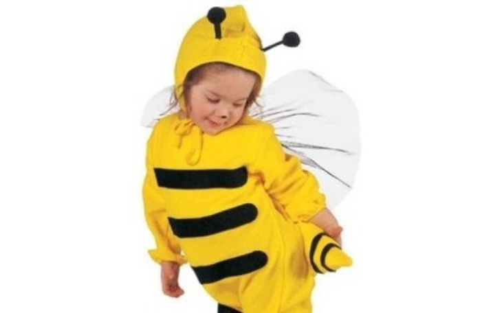 Zbiórka Ratujemy Pszczoły! - zdjęcie główne