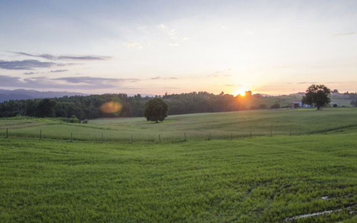 Zbiórka Wymarzona działka rolna. - zdjęcie główne