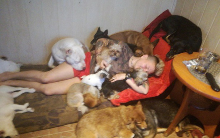 Zbiórka Kojec i karma - zdjęcie główne