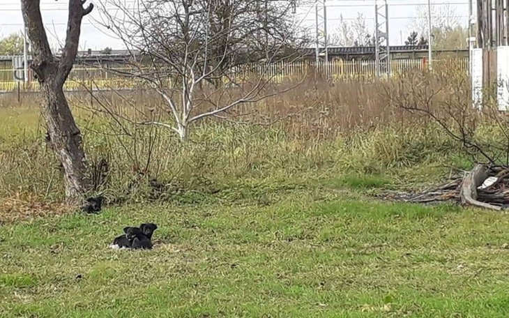 Zbiórka ...ostatnia szansa... - zdjęcie główne