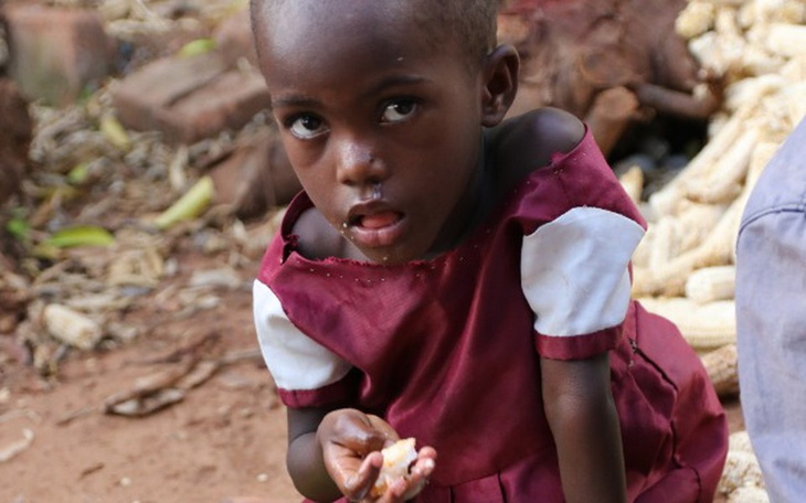Zbiórka Centrum Dożywiania Dzieci - zdjęcie główne