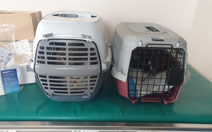 Zbiórka Usuwanie chorych ząbków - zdjęcie główne