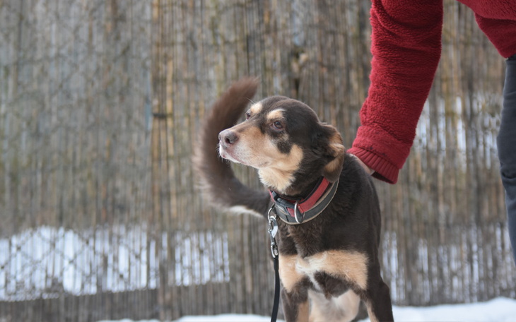 Zbiórka Kolejny miesiąc pobytu w hotelu - zdjęcie główne