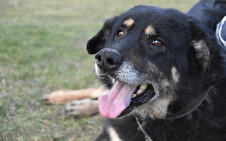 Zbiórka MORUS-prosi o wsparcie na hotel - zdjęcie główne