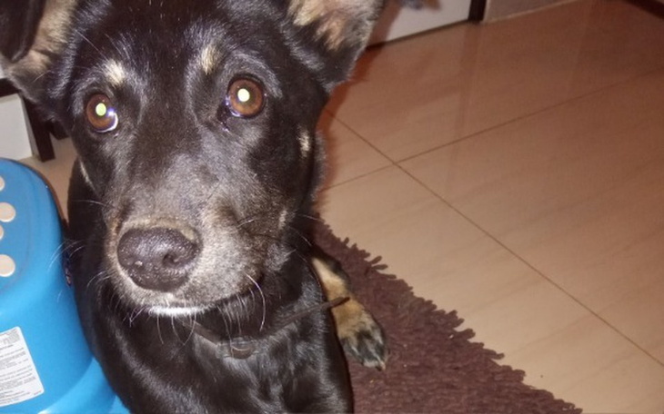 Zbiórka Pomoc dla Skay - zdjęcie główne