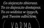 Zbiórka Urodzinowa zbiórka na pomoc zwie - miniaturka zdjęcia