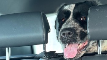 Zbiórka Wykorzystana AŁABAJA - miniaturka zdjęcia