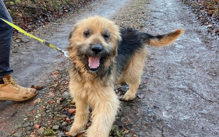 Zbiórka Dolar potrzebuje złotówki - zdjęcie główne