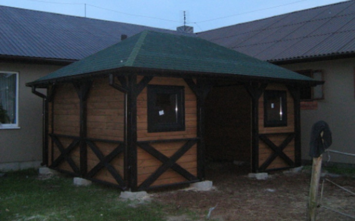 Zbiórka Na karmę dla bezdomnych Zwierząt - zdjęcie główne