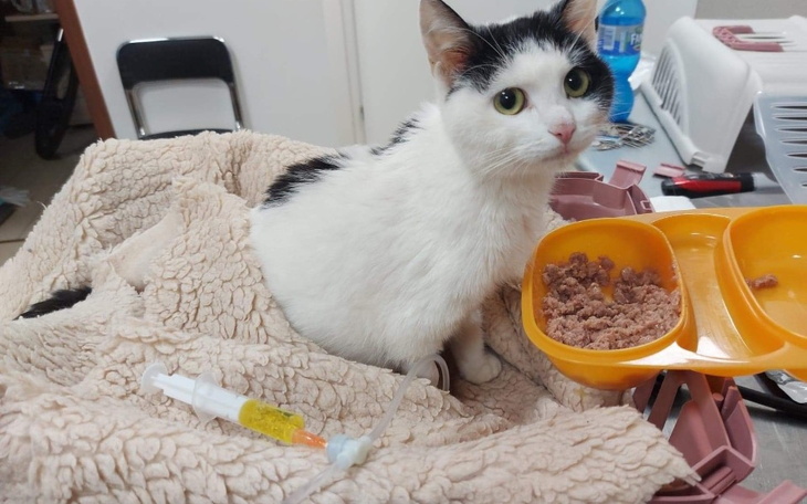 Mężczyzna w pomieszczeniu, patrzy w kamerę, poważny wyraz twarzy.