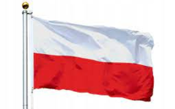 Zbiórka postrehabilitacja - zdjęcie główne