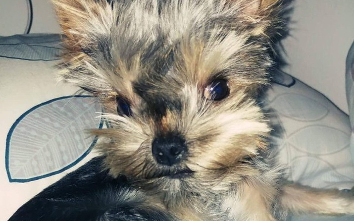 Zbiórka Leczenie Kubusia i na operację - zdjęcie główne