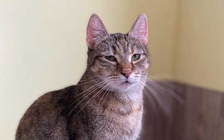 Zbiórka Majówka podopiecznych - zdjęcie główne