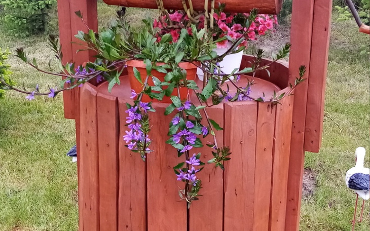 Zbiórka Na marzenia do spełnienia pomaga - zdjęcie główne