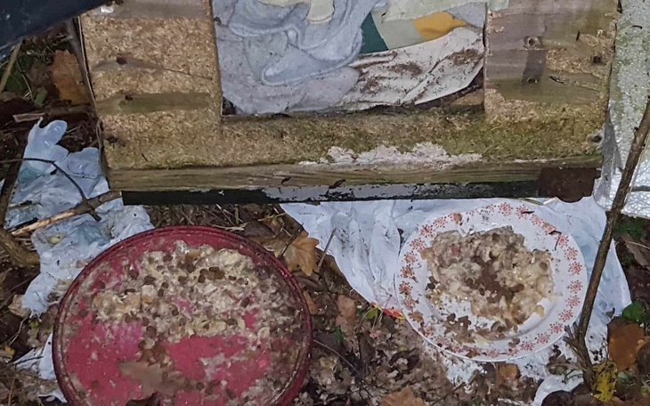 Zbiórka Nieustająco karma potrzebna - zdjęcie główne