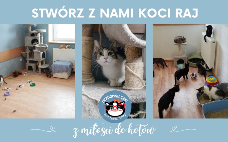 Zbiórka Remont pokoi dla Bezdomniaczków - zdjęcie główne