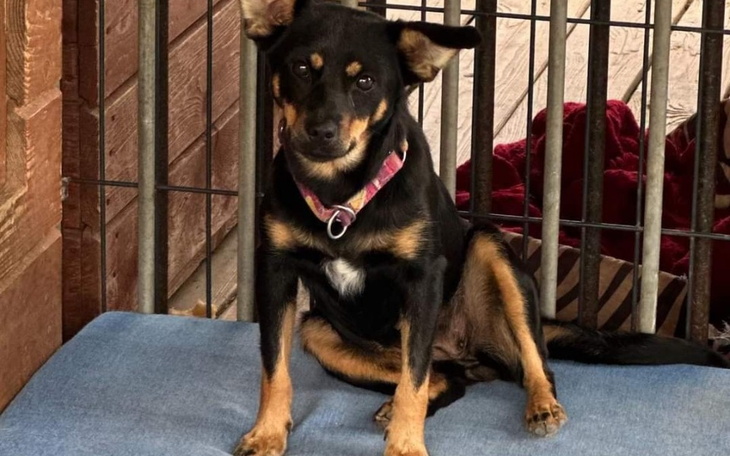 Zbiórka Zbiórka od EY GDS - zdjęcie główne