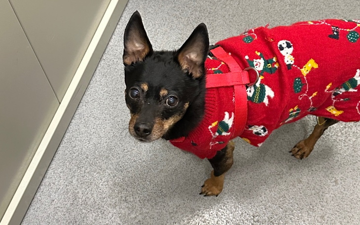 Zbiórka Na zdrowszą starość dla Julka - zdjęcie główne